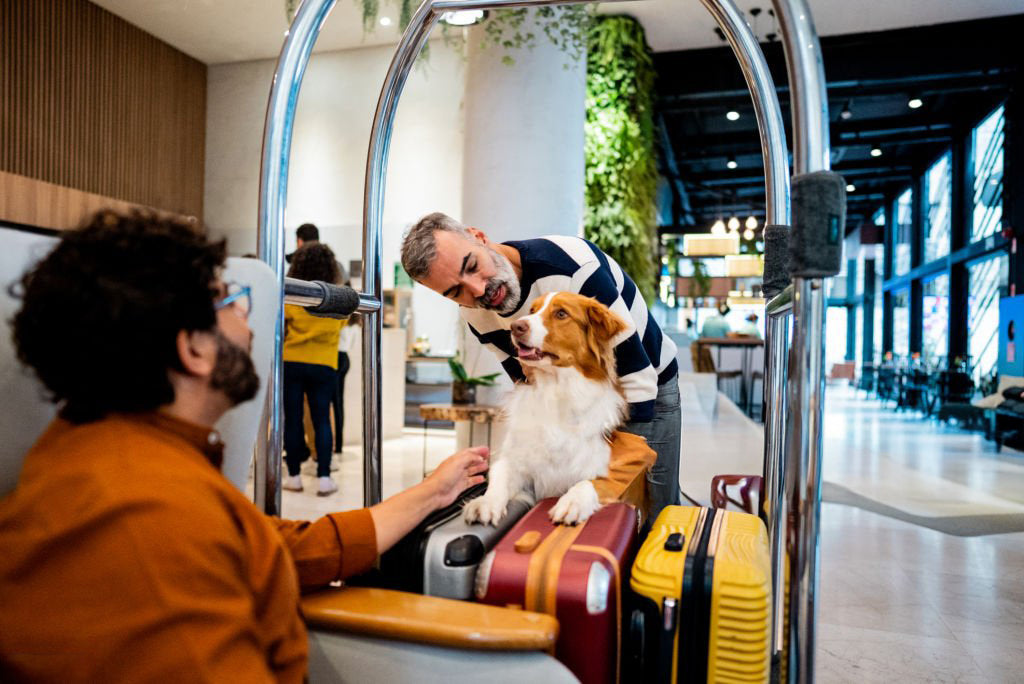 Mężczyzna w hotelu z pieskiem wskakującym na wózek z walizkami